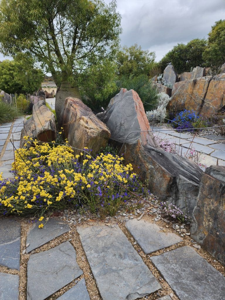 Secret Design Studio visits Cranbourne Royal Botanic Gardens seeking Australian native garden inspiration for mid-century modern homes, blog posting